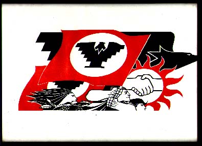 ufw flag